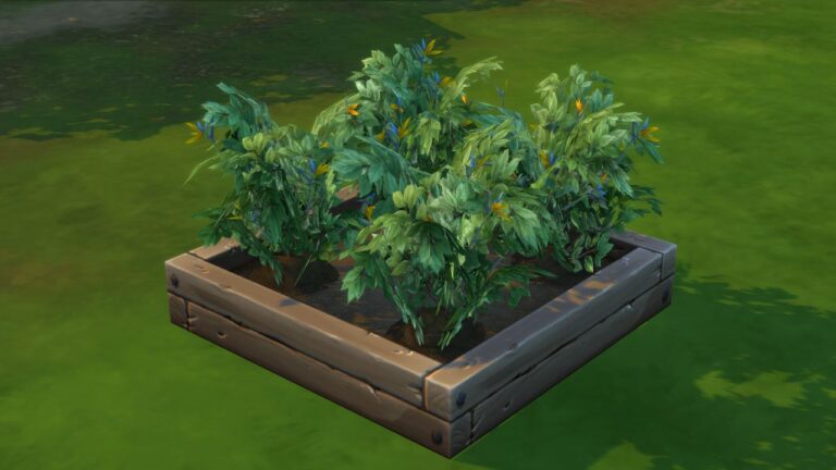 A screenshot from The Sims 4 showing four bird of paradise plants in a garden planter