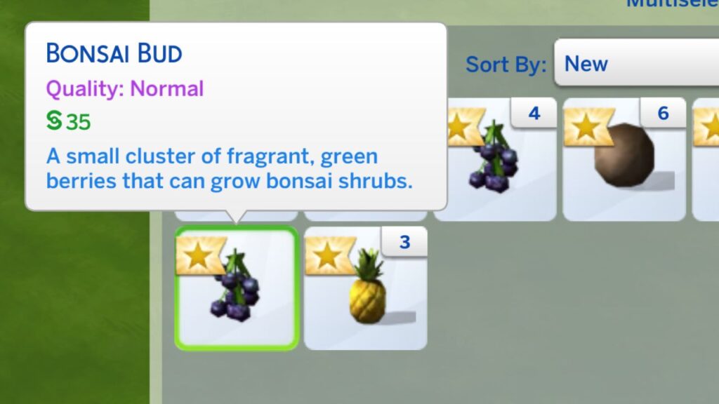 A screenshot from The Sims 4 showing bonsai buds in a sim's inventory
