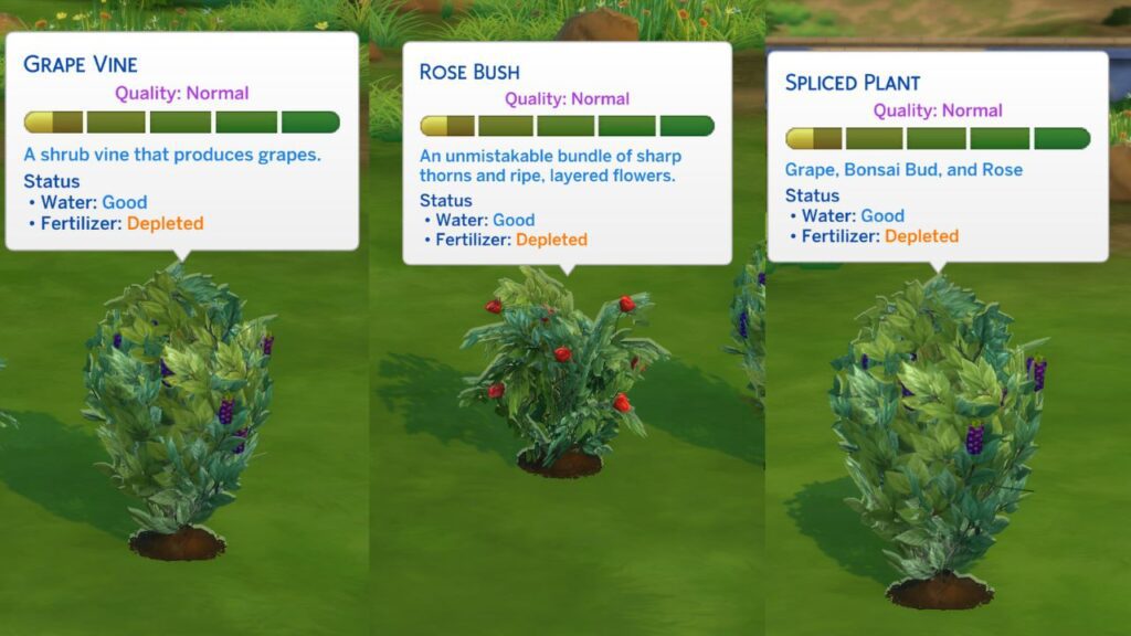 A screenshot from The Sims 4 showing a grape vine, rose bush and spliced plant for bonsai buds