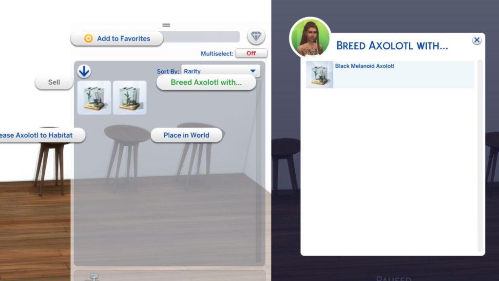 A screenshot from The Sims 4 showing how to breed axolotls 