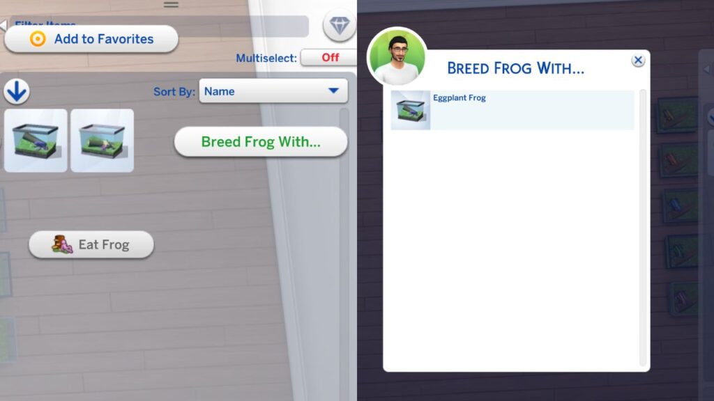 A screenshot from The Sims 4 showing how to breed frogs 