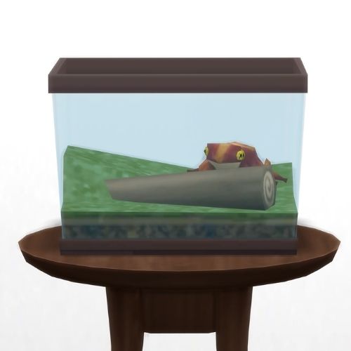 A screenshot from The Sims 4 showing a circle table with a terrarium on top and a bullseye frog inside