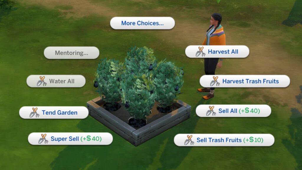 A screenshot from The Sims 4 showing the interactions with trash fruit