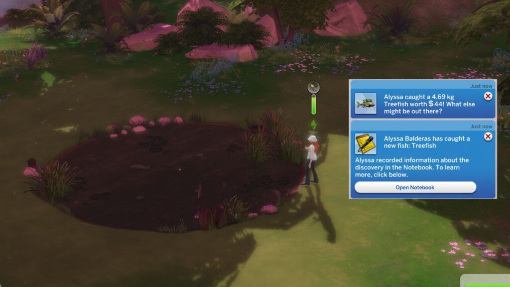 A screenshot from The Sims 4 showing the pond in Sylvan Glade with a sim fishing to catch a treefish