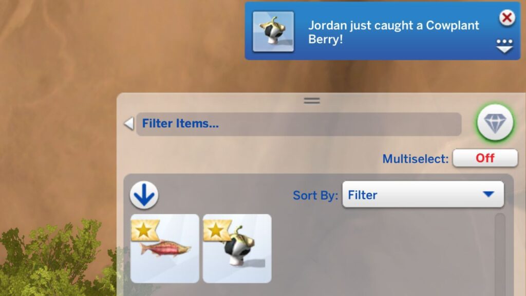 A screenshot from The Sims 4 showing a notification from a sim catching a cowplant berry