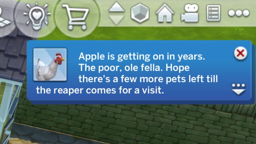 A screenshot from The Sims 4 showing the notification warning of the end of a chicken's life