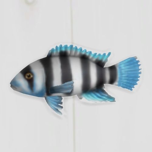 A screenshot from The Sims 4 showing a white floor with a cichlid fish