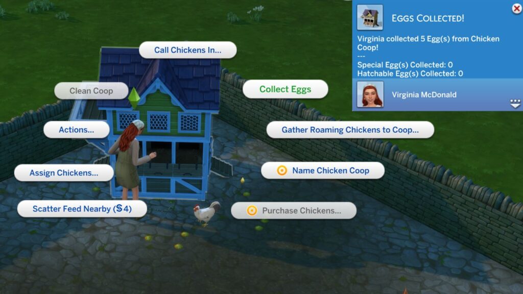 A screenshot from The Sims 4 showing how to collect eggs from a chicken coop