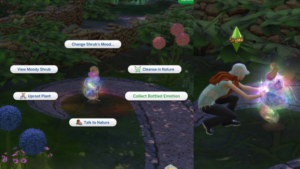 A screenshot from The Sims 4 showing how to collect bottled emotions from a moody shrub 
