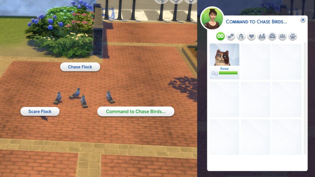 A screenshot from The Sims 4 showing how to command your pet to chase birds