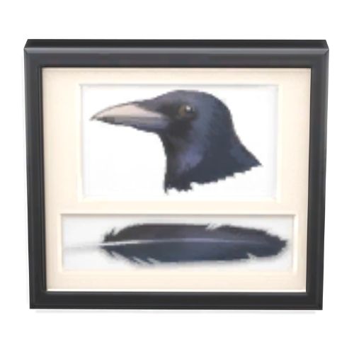 A screenshot from The Sims 4 with a black frame. Inside the frame is a picture of a crow with a feather underneath