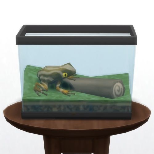 A screenshot from The Sims 4 showing a circle table with a terrarium on top and a dirtsurfer frog inside