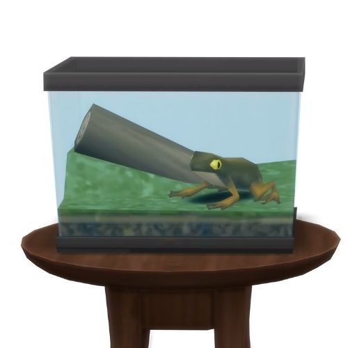 A screenshot from The Sims 4 showing a circle table with a terrarium on top and a dirt frog inside