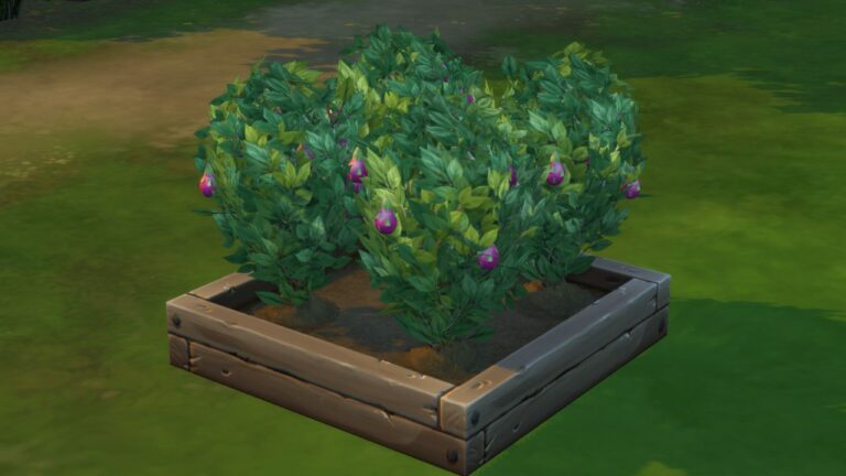 A screenshot from The Sims 4 showing four dragon fruit plants in a planter