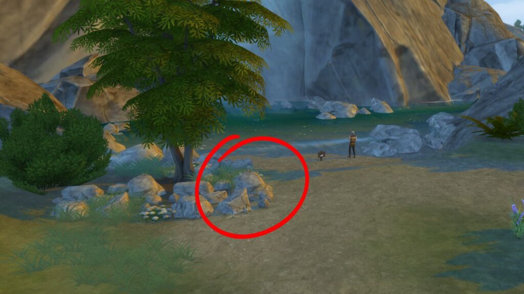 A screenshot from The Sims 4 showing where to find dragonflies in the deep woods