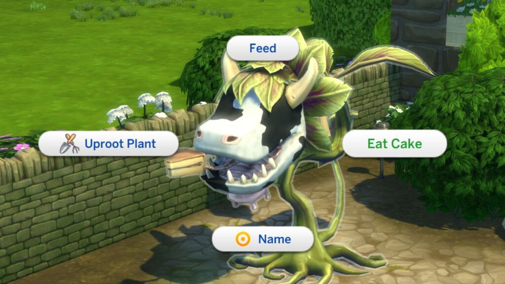 A screenshot from The Sims 4 showing the option to eat cake on a cowplant 