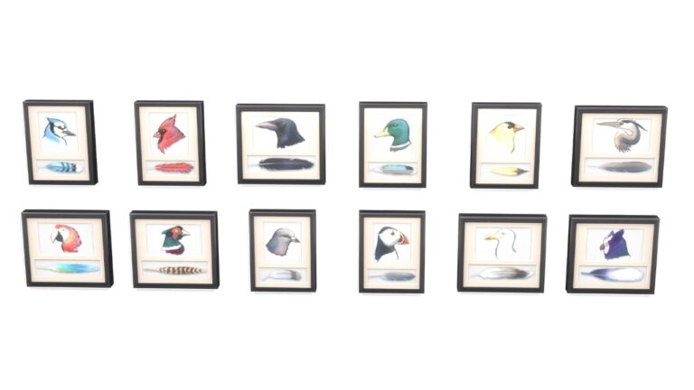 A screenshot from The Sims 4 showing the complete feather collection