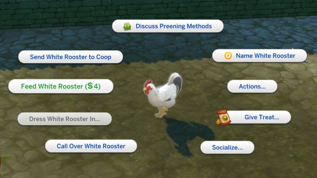 A screenshot from The Sims 4 showing how to feed an individual chicken