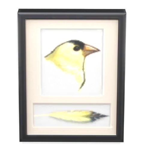 A screenshot from The Sims 4 with a black frame. Inside the frame is a picture of a finch with a feather underneath