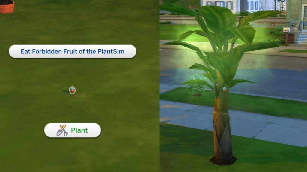 A screenshot from The Sims 4 showing how to plant a forbidden fruit
