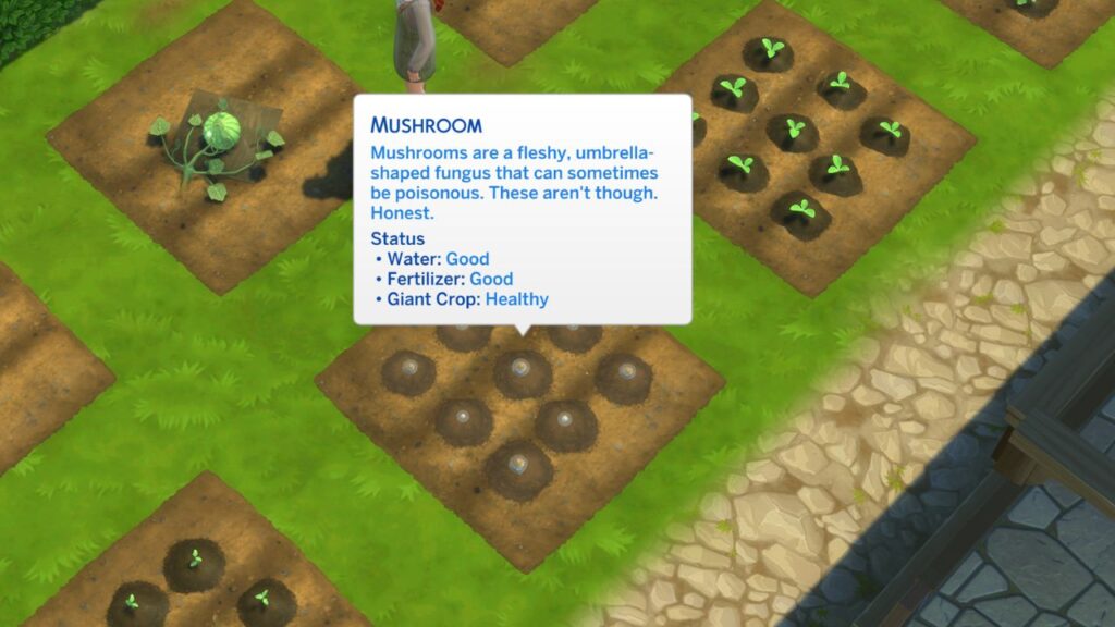A screenshot from The Sims 4 showing the health of a giant mushroom