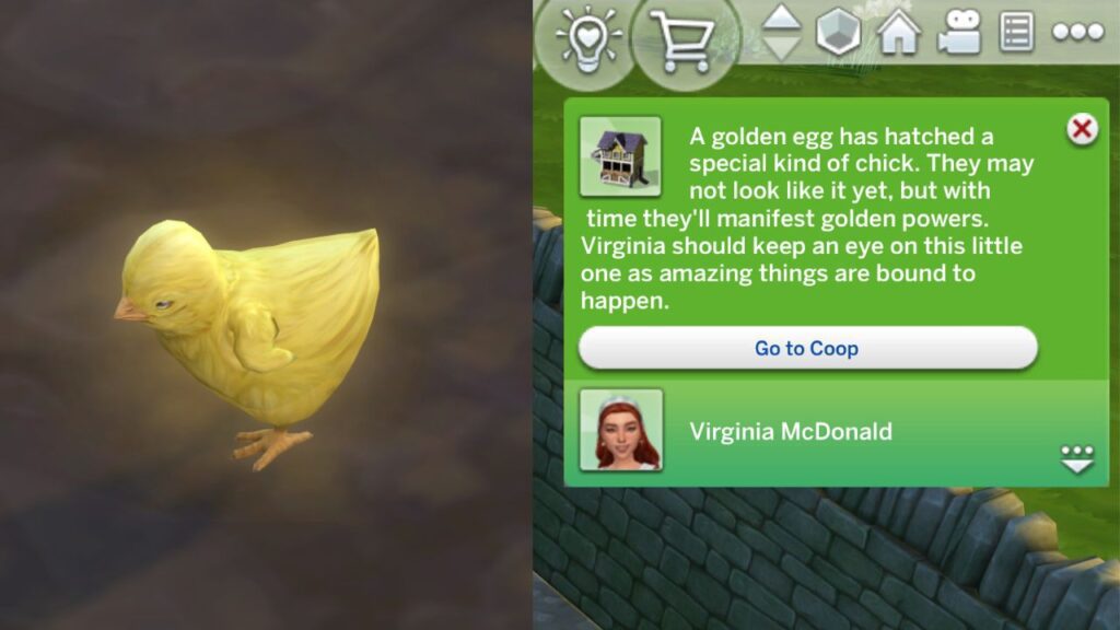 A screenshot from The Sims 4 showing a golden chick who was hatched