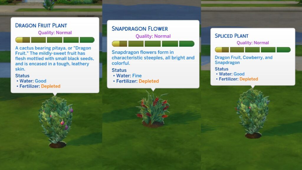 A screenshot from The Sims 4 showing the three plants involved in grafting for a cow plant berry