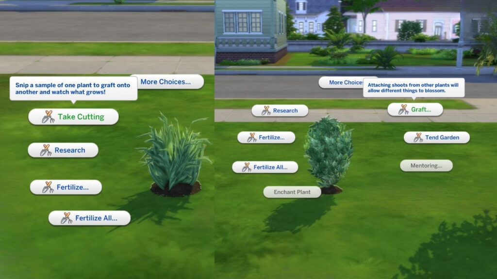 A screenshot from The Sims 4 showing how to graft two plants together