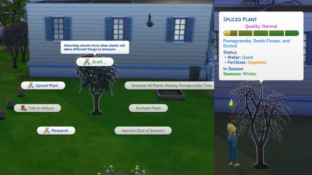 A screenshot from The Sims 4 showing how to graft onto a pomegranate to get a death flower plant