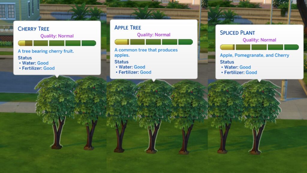 A screenshot from The Sims 4 showing the process of making a pomegranate with grafting