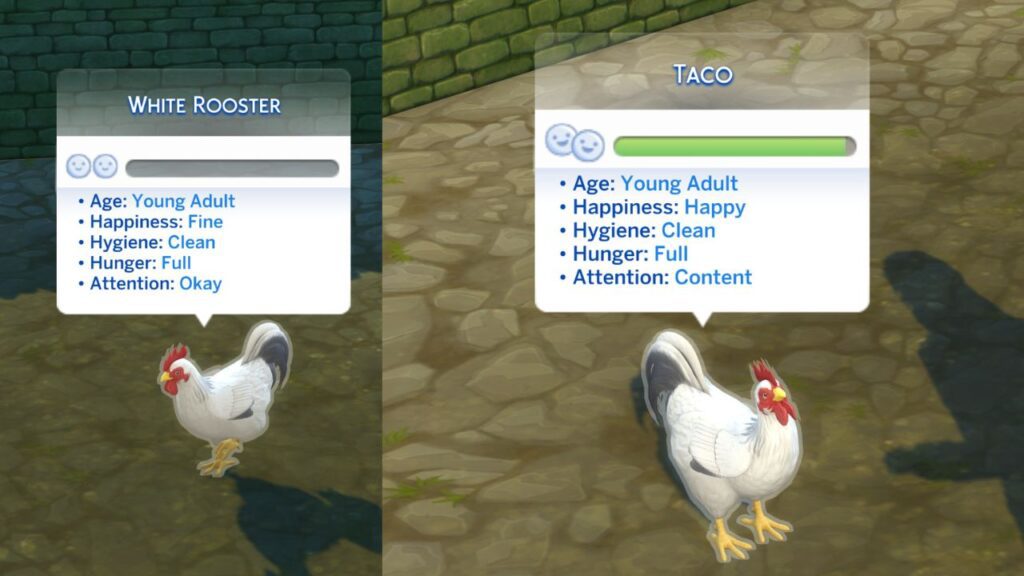 A screenshot from The Sims 4 showing a sad chicken versus a happy chicken