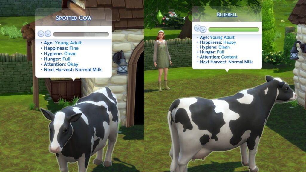 A screenshot from The Sims 4 showing an unhappy cow and a happy cow