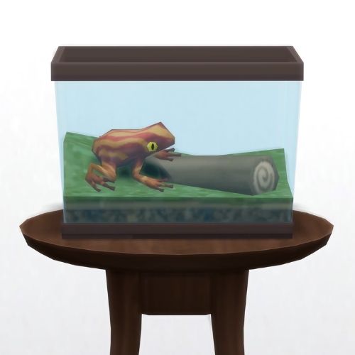 A screenshot from The Sims 4 showing a circle table with a terrarium on top and a heartsurfer frog inside