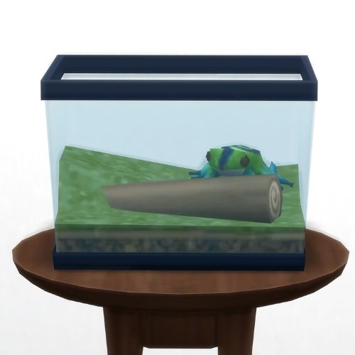 A screenshot from The Sims 4 showing a circle table with a terrarium on top and a hypnofrog inside