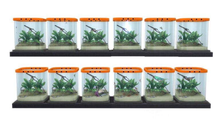 A screenshot from The Sims 4 showing the insect collection