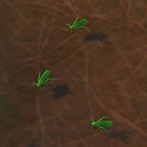 A screenshot from The Sims 4 showing three green katydid bugs