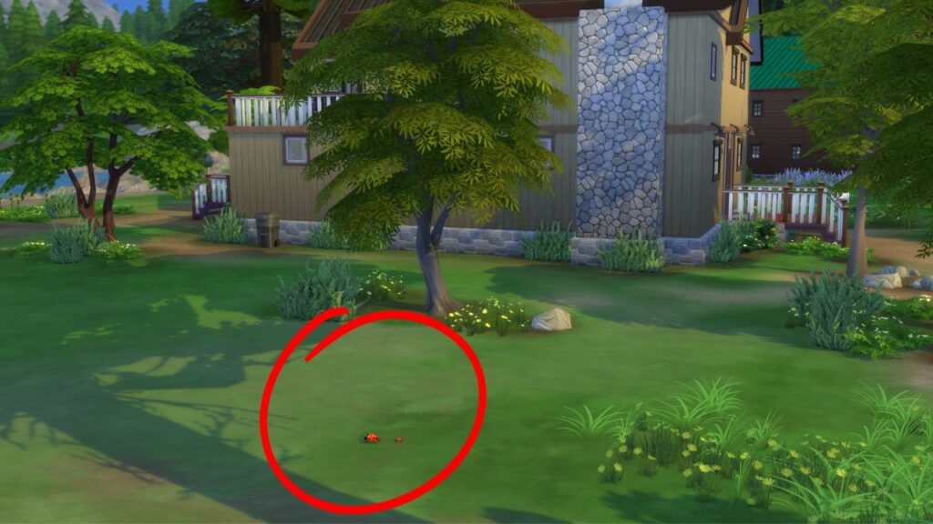 A screenshot from The Sims 4 showing a house in the background and two ladybugs circled in front