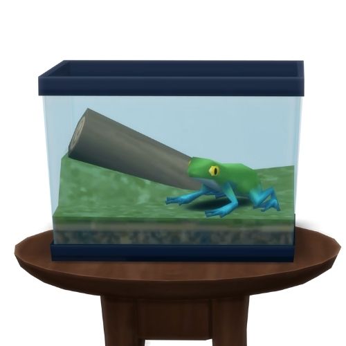 A screenshot from The Sims 4 showing a circle table with a terrarium on top and a leaf frog inside