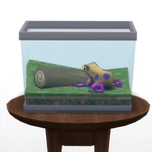 A screenshot from The Sims 4 showing a circle table with a terrarium on top and a leopard frog inside