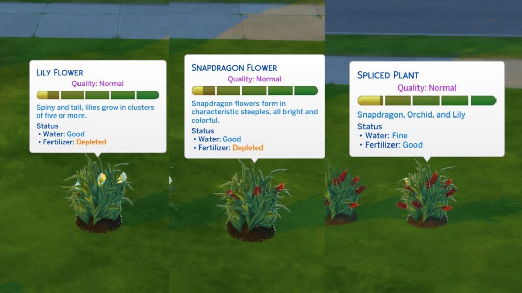 A screenshot from The Sims 4 showing the three stages of grafting for an orchid