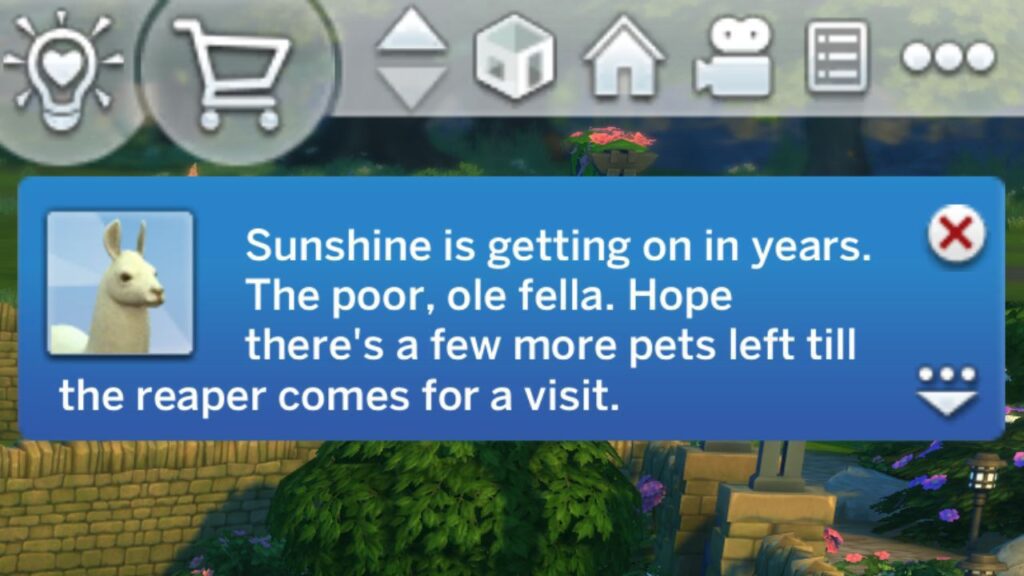 A screenshot from The Sims 4 showing the warning notification for llama death 