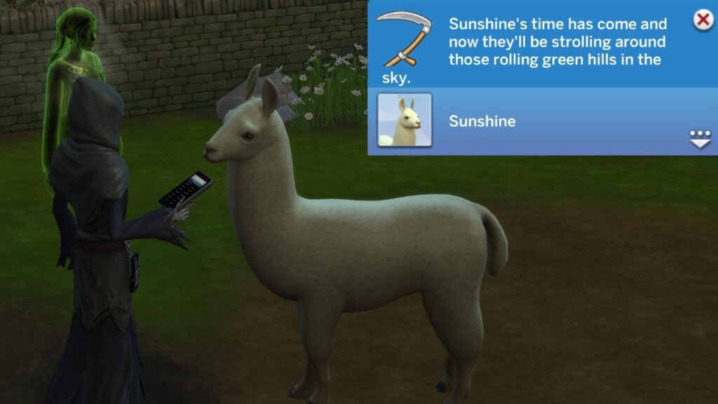 A screenshot from The Sims 4 showing the grim reaper coming for a llama 