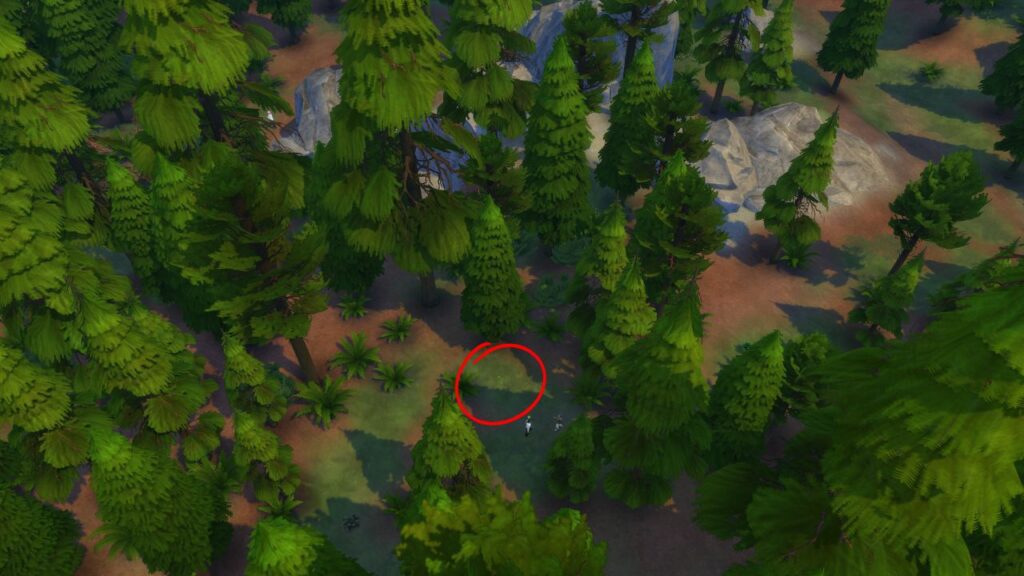 A screenshot from The Sims 4 showing a top down view of a forest with a red circle in the centre