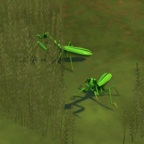 A screenshot from The Sims 4 showing two mantis bugs in grass