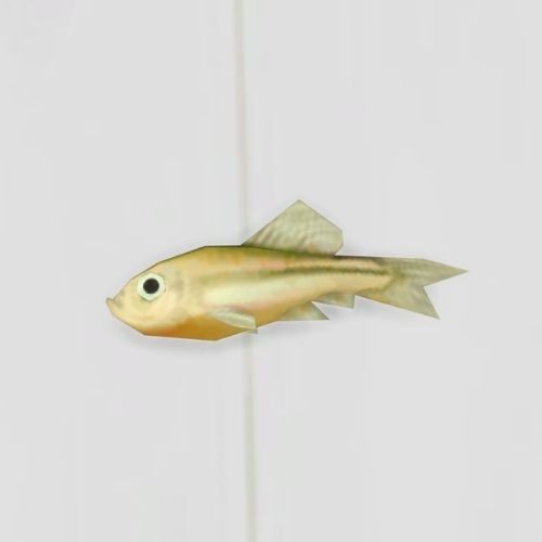 A screenshot from The Sims 4 showing a white floor with a minnow fish