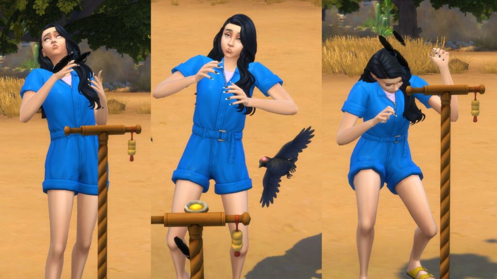 A screenshot from The Sims 4 showing three stages of a sim being attacked by a crow 
