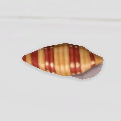 A screenshot from The Sims 4 showing a grey background and a orange and brown tulip shell 
