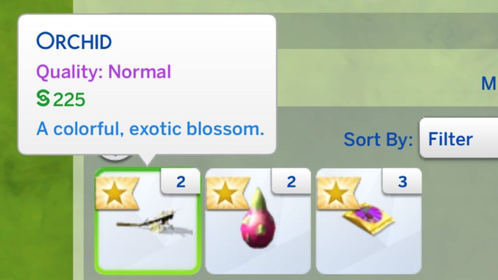 A screenshot from The Sims 4 showing an orchid in a sim's inventory