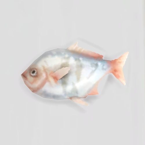 A screenshot from The Sims 4 showing a white floor with a perch fish