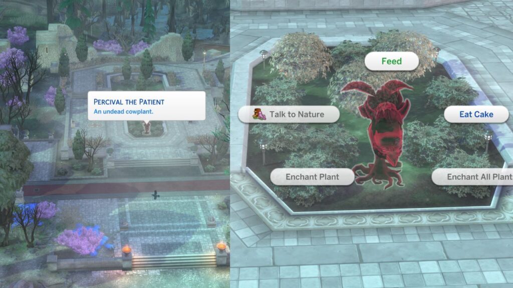 A screenshot from The Sims 4 showing the location of Percival the Patient